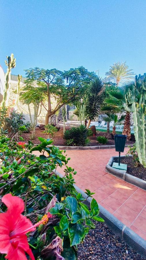 Apartamento Guinea Playa del Inglés